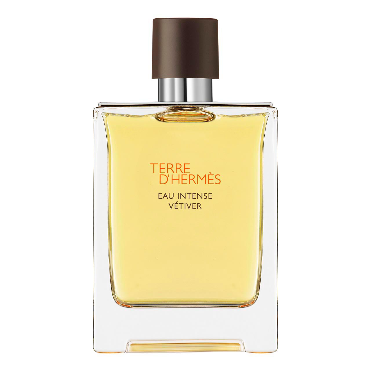 Hermes Terre d'Hermes Eau de Parfum Eau Intense Vetiver 100ml