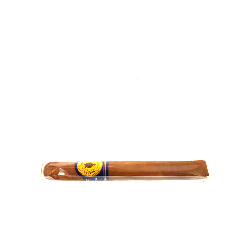 Santa Damiana Minutos 20 pcs