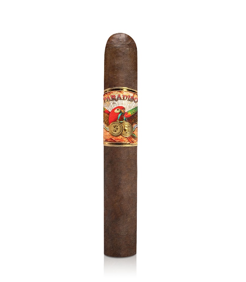 Ashton Paradiso Classic Clasico (Robusto) 24er