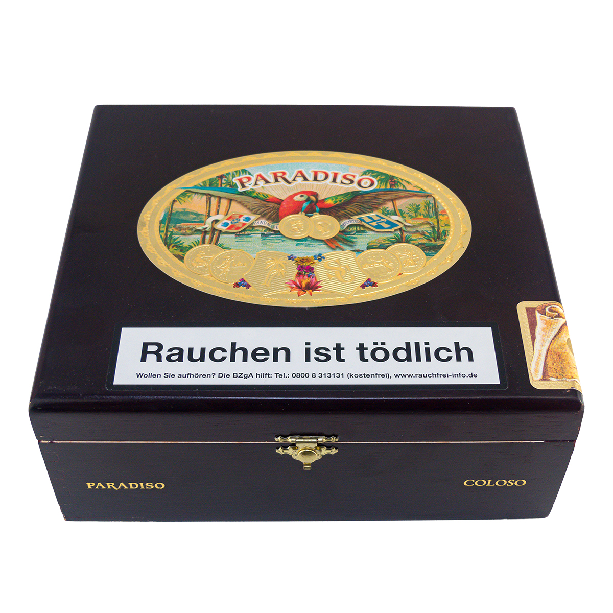 Ashton Paradiso Classic Coloso (Toro Gigante) 24er