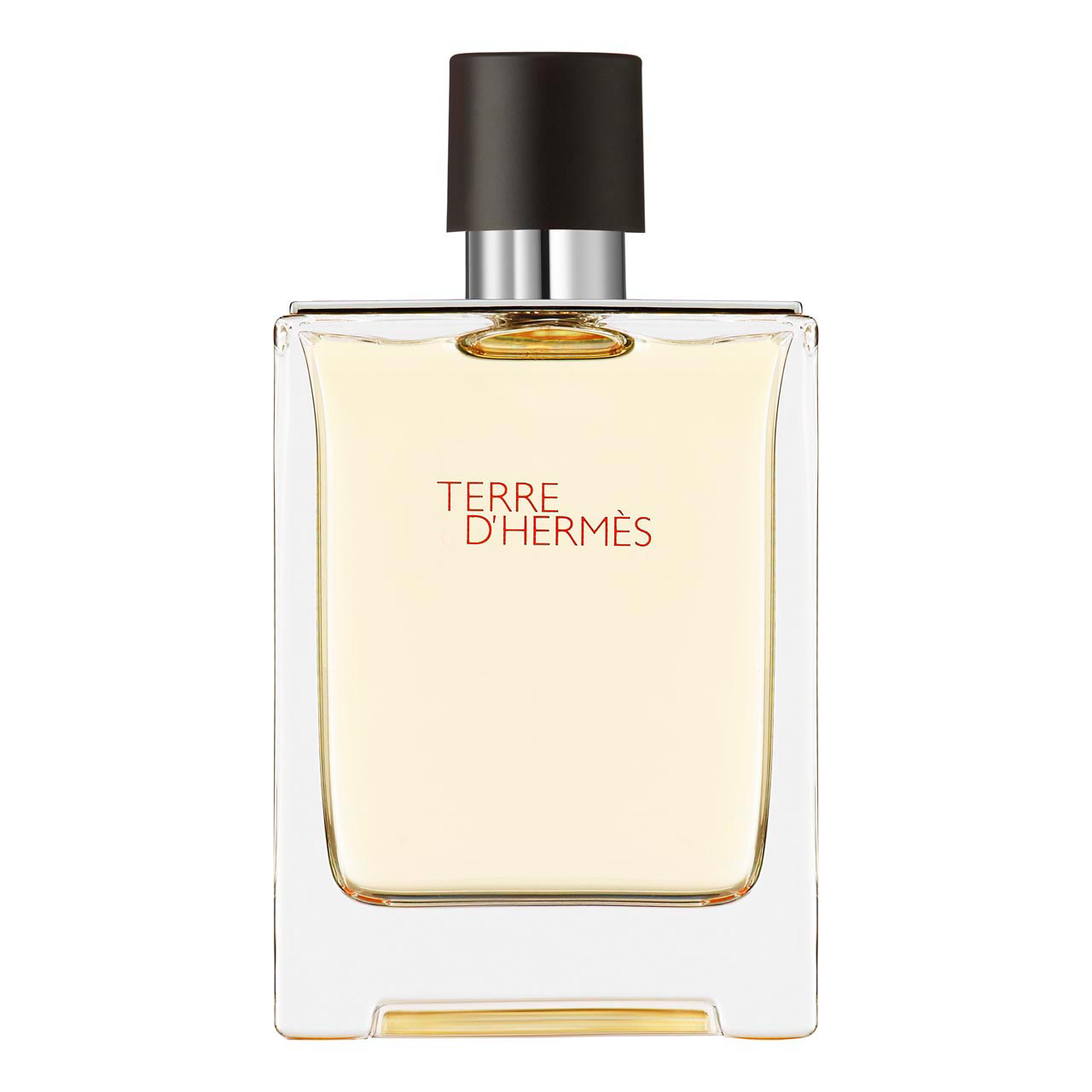 Hermes Terre d'Hermes Eau de Toilette 100ml