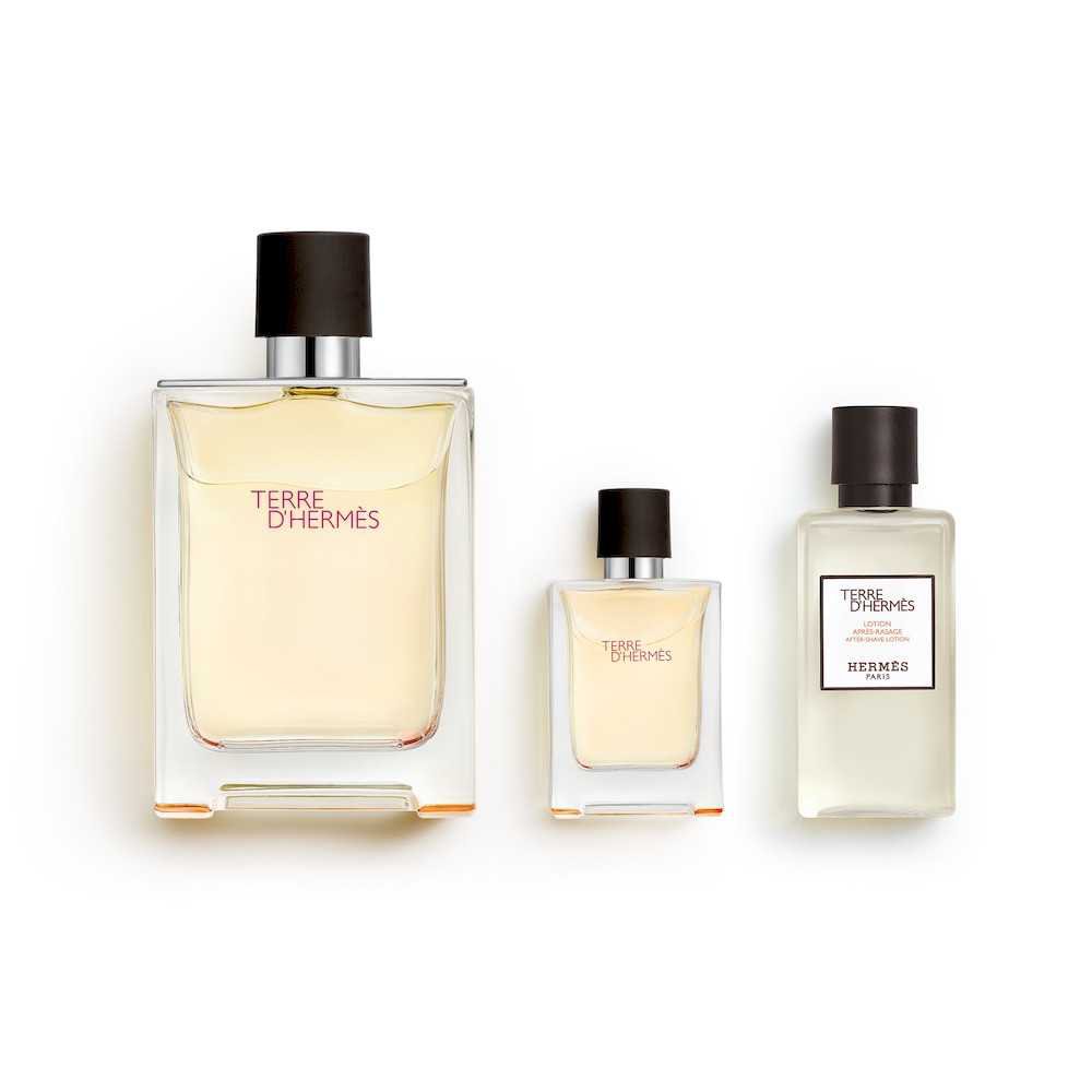 Hermes Terre d'Hermes Eau de Toilette 100ml + 12,5ml + Aftershave 40ml