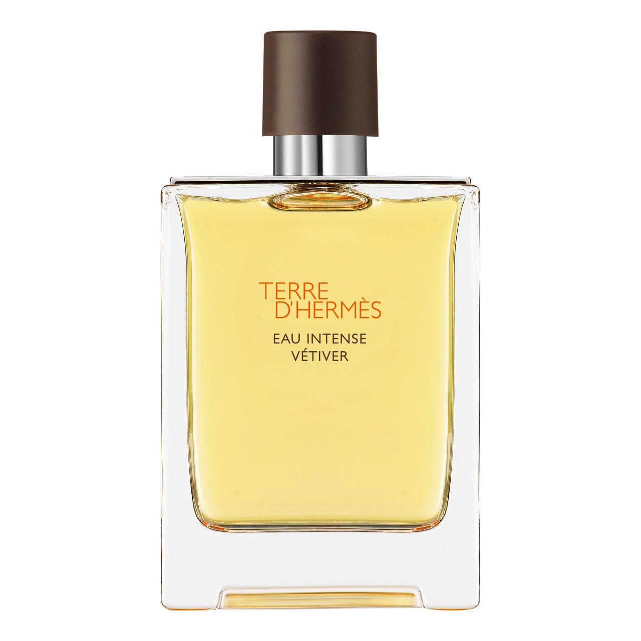 Hermes Terre d'Hermes Eau de Parfum Eau Intense Vetiver 100ml