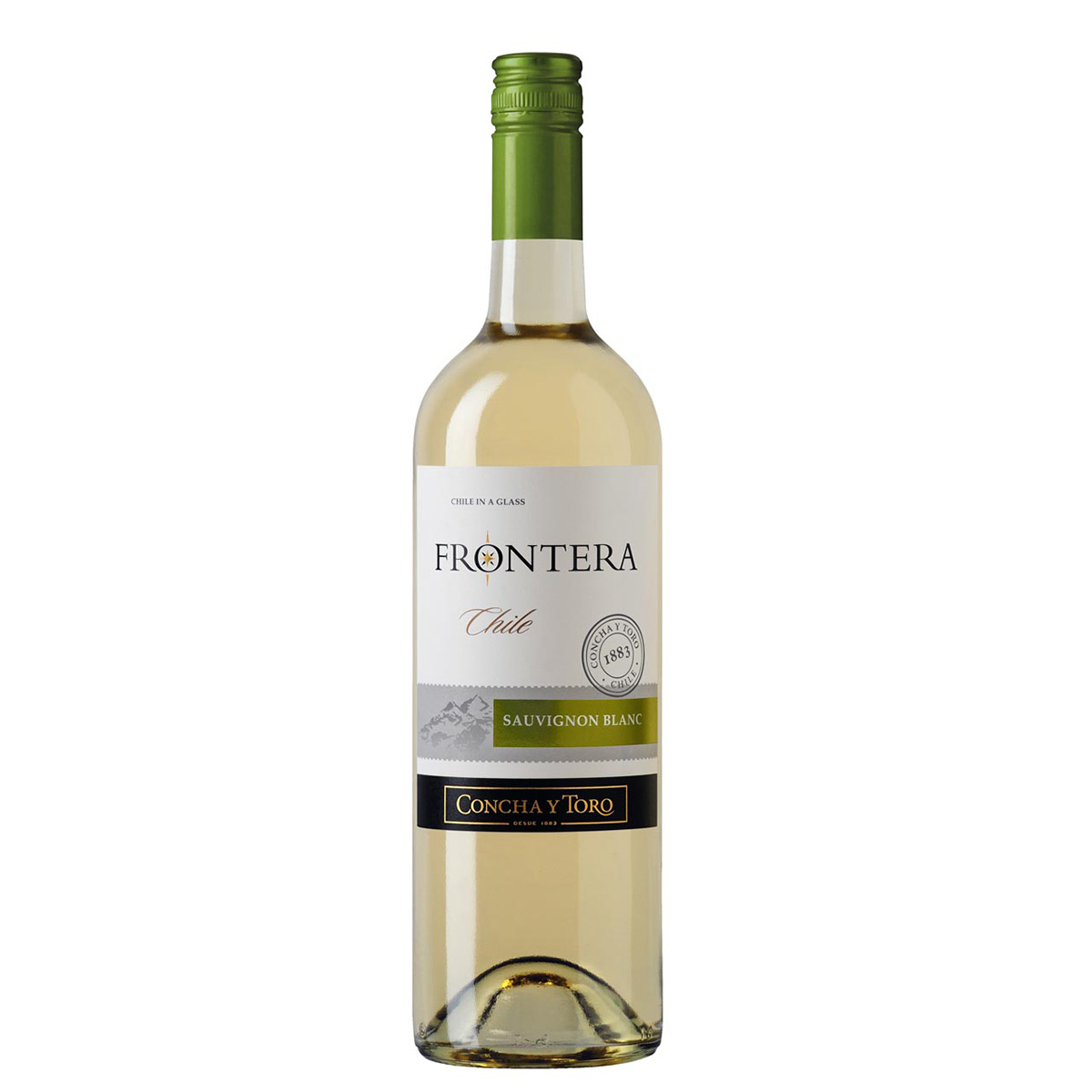 CyT Frontera, Sauvignon Blanc, Valle Central, DO, trocken, weiß 12,5%vol. 0,75Liter