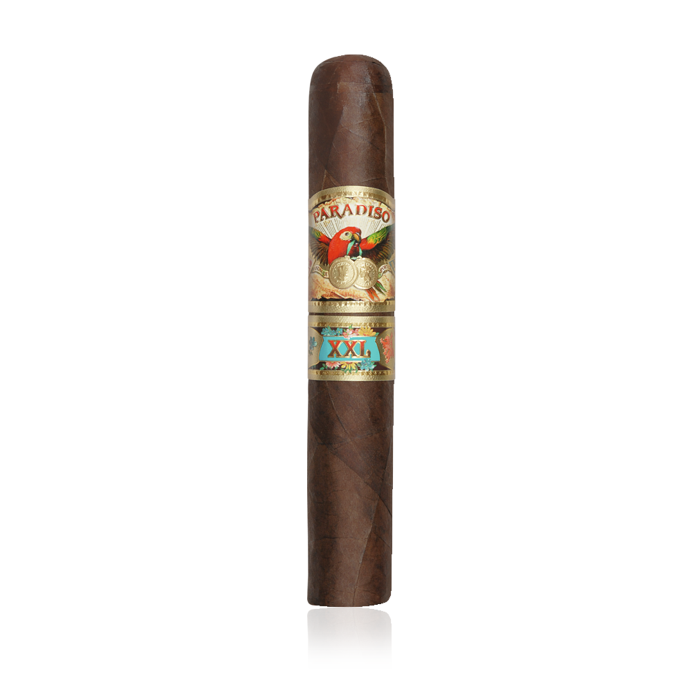 Ashton Paradiso Papagayo XXL (Toro Gigante) 21er