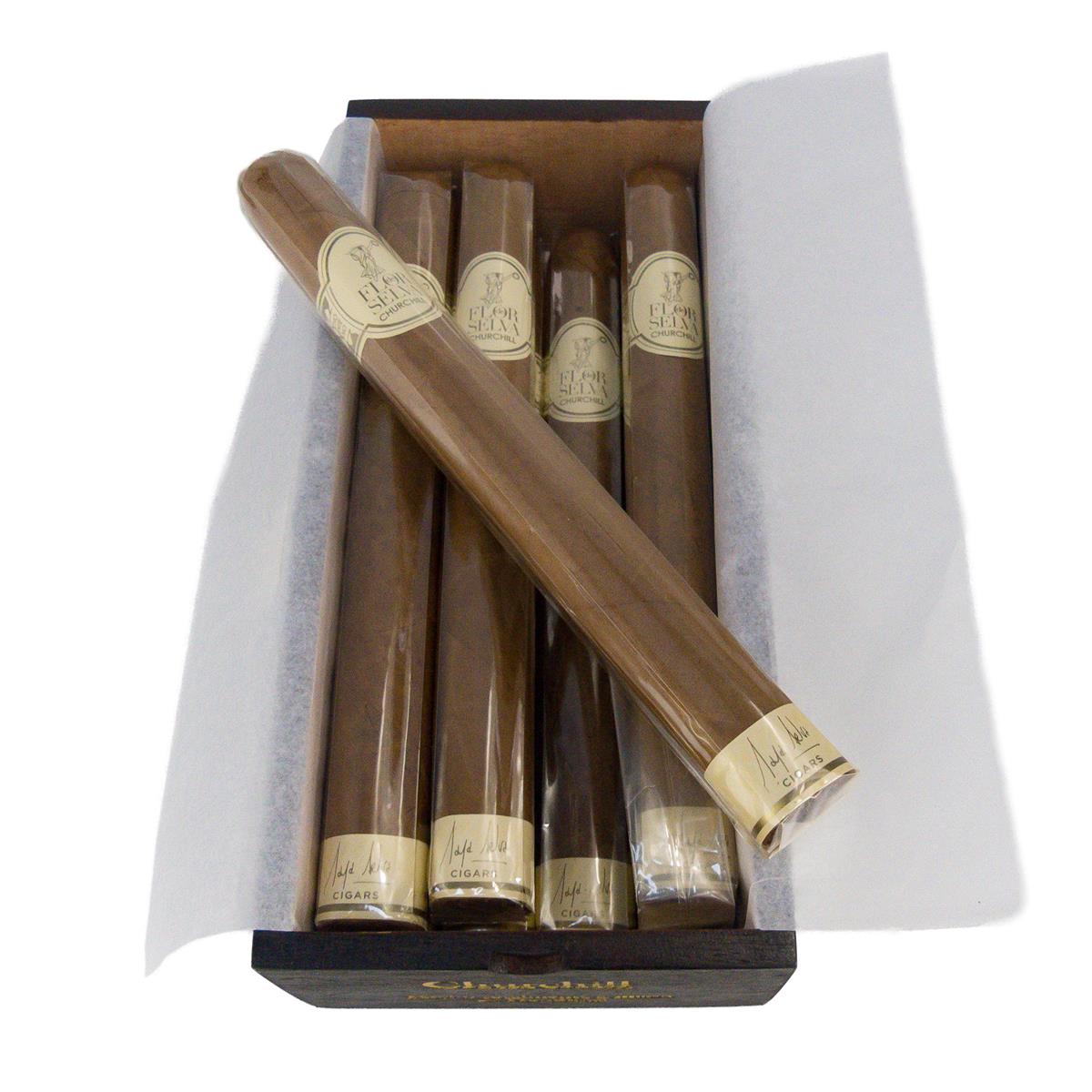 Flor de Selva Churchill 7 pcs